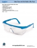 View Product Sheet - Safety Glasses with Side Shields in Blue Frame [GF1200142RevA12].PDF pdf